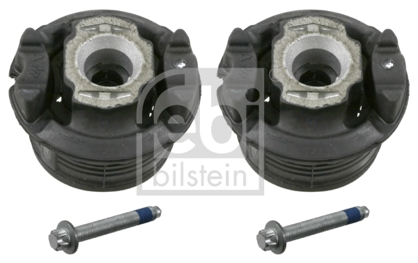 Bush Set, axle beam